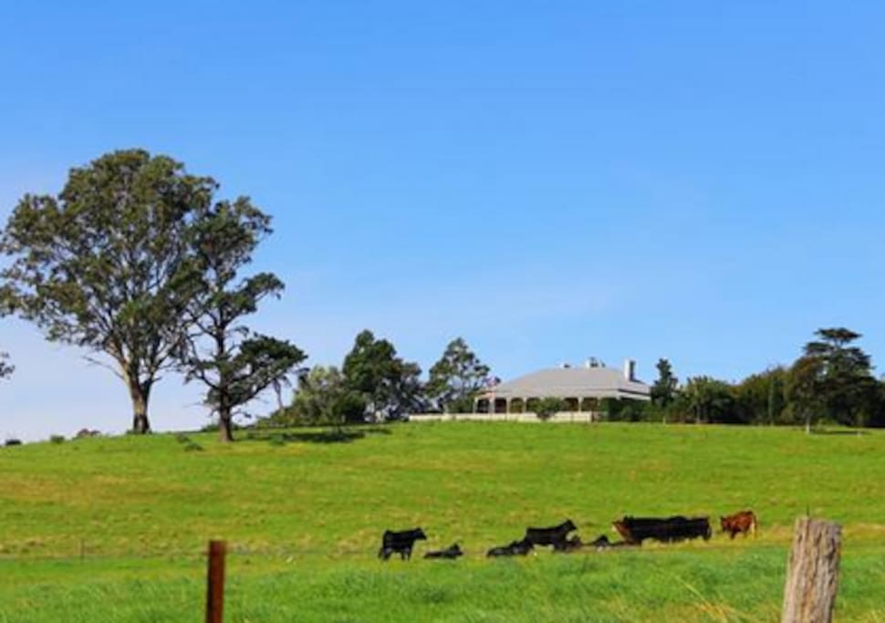 Surrounded by 40 acres