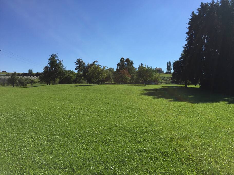 Blick nach vorne aus dem Haus