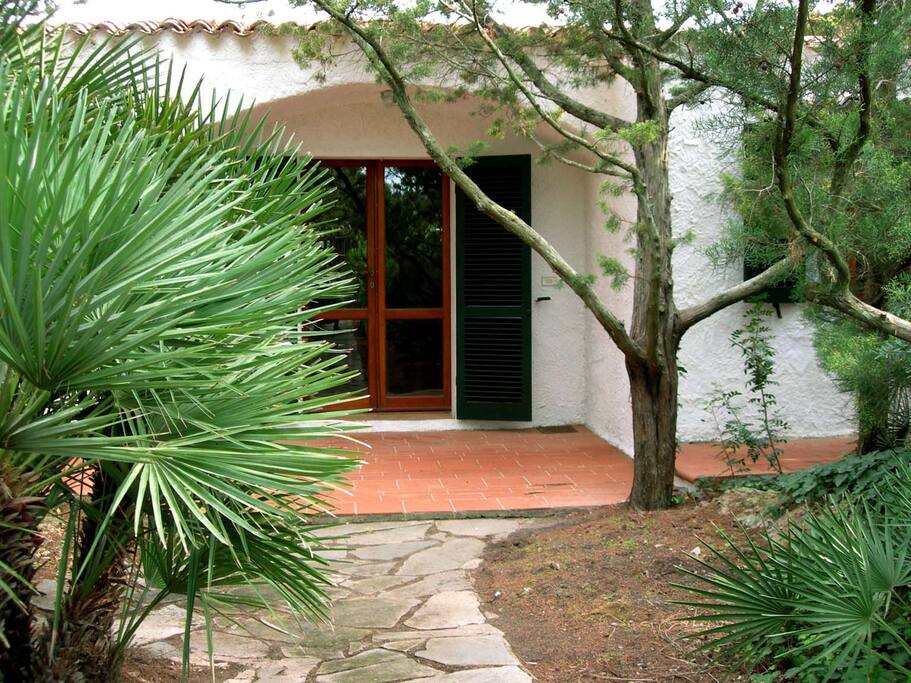 Main Door