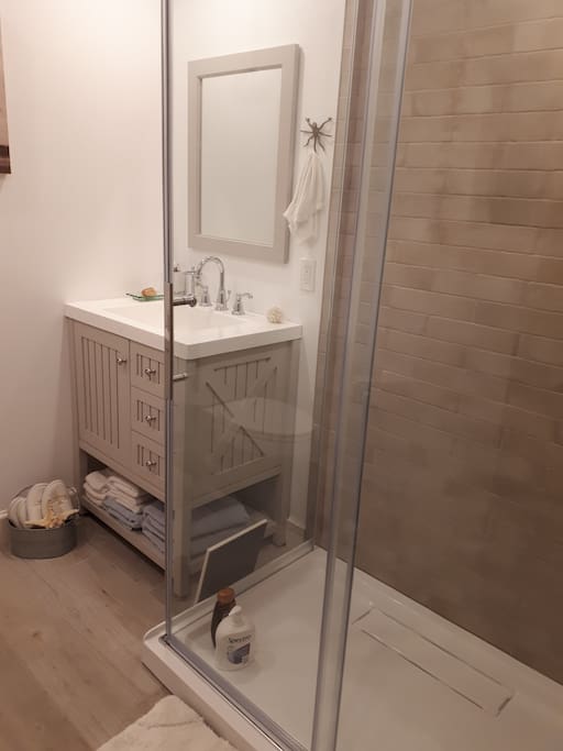 private bathroom
with shower stall downstairs from main room