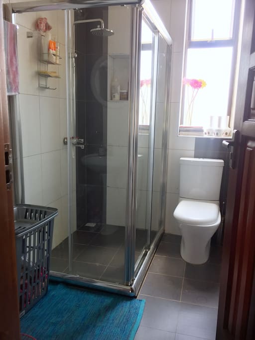 Guest bathroom