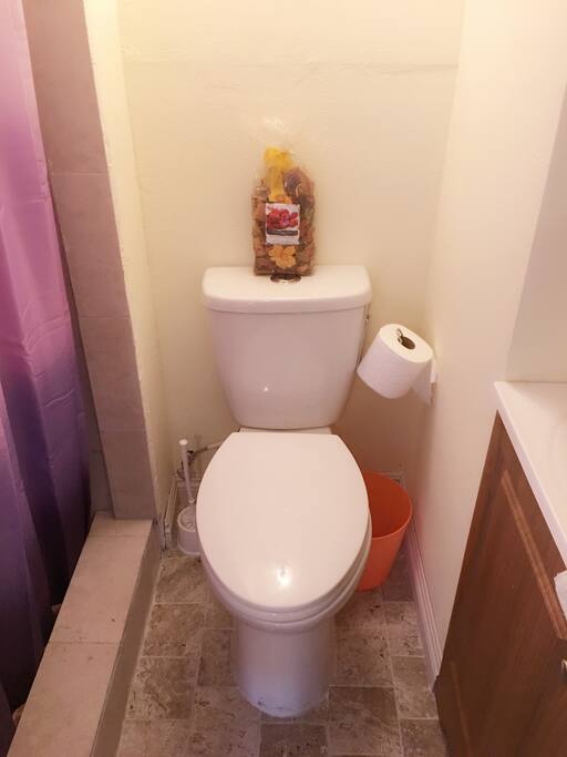 Private bathroom and shower