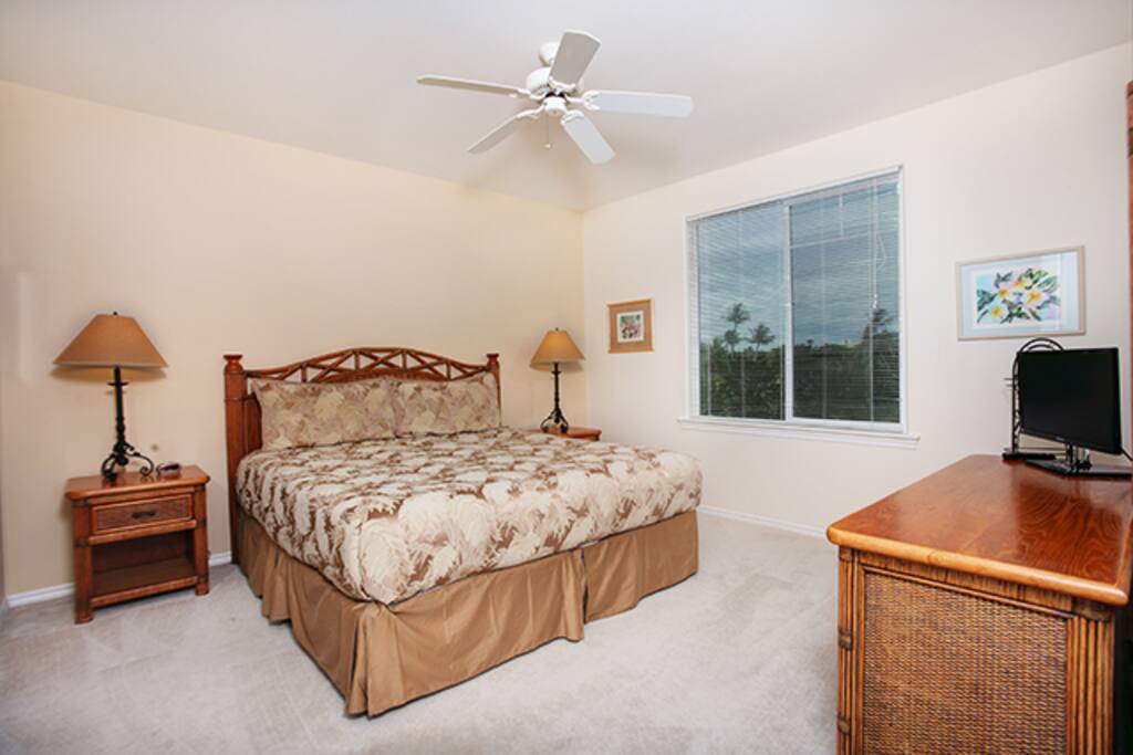 Roomy Master bedroom