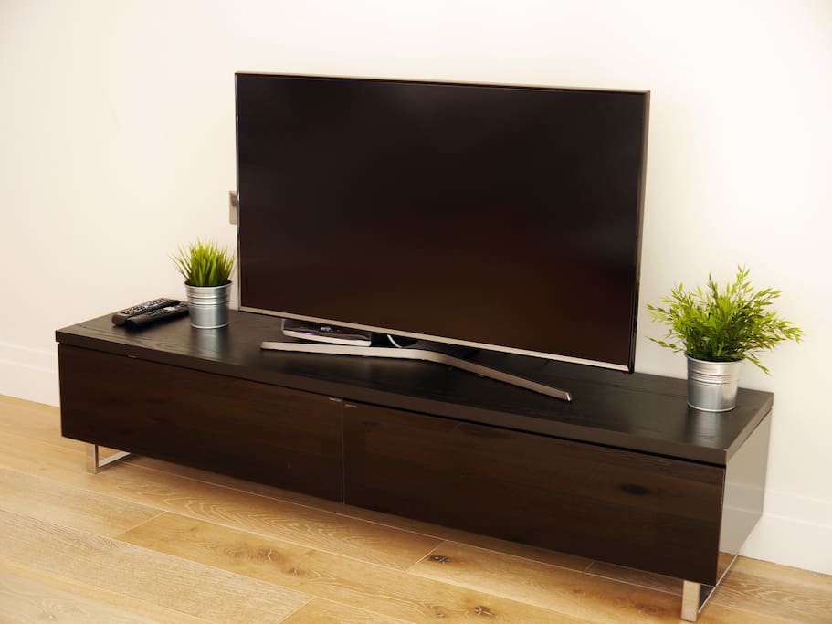 Television in Lounge area