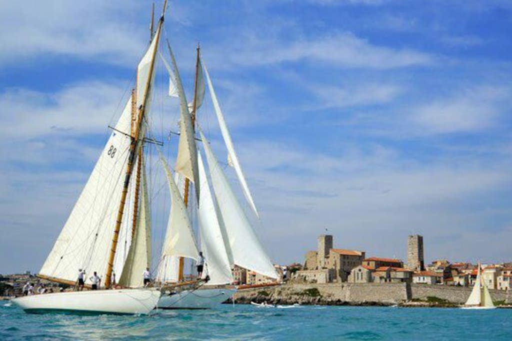 Les voiles d'Antibes