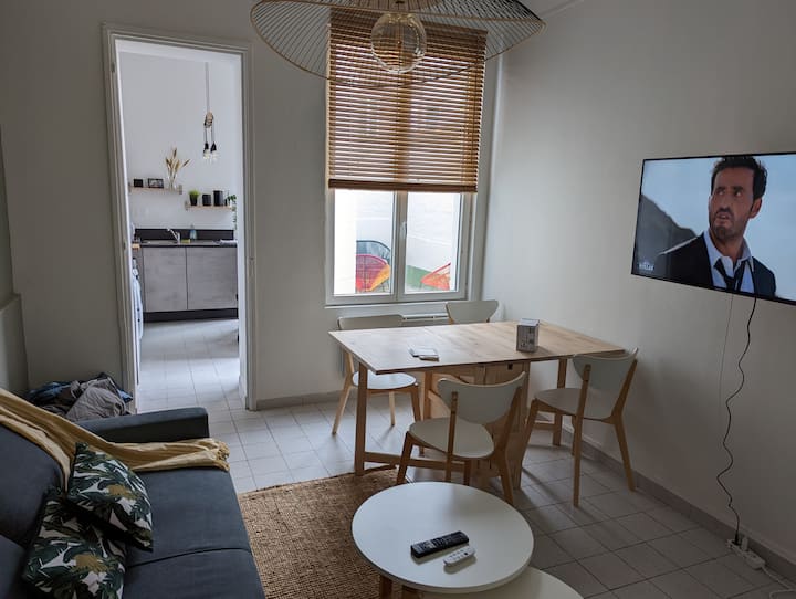Appartement Calme Métro Vaste Avec Cour Et Clim - Croix