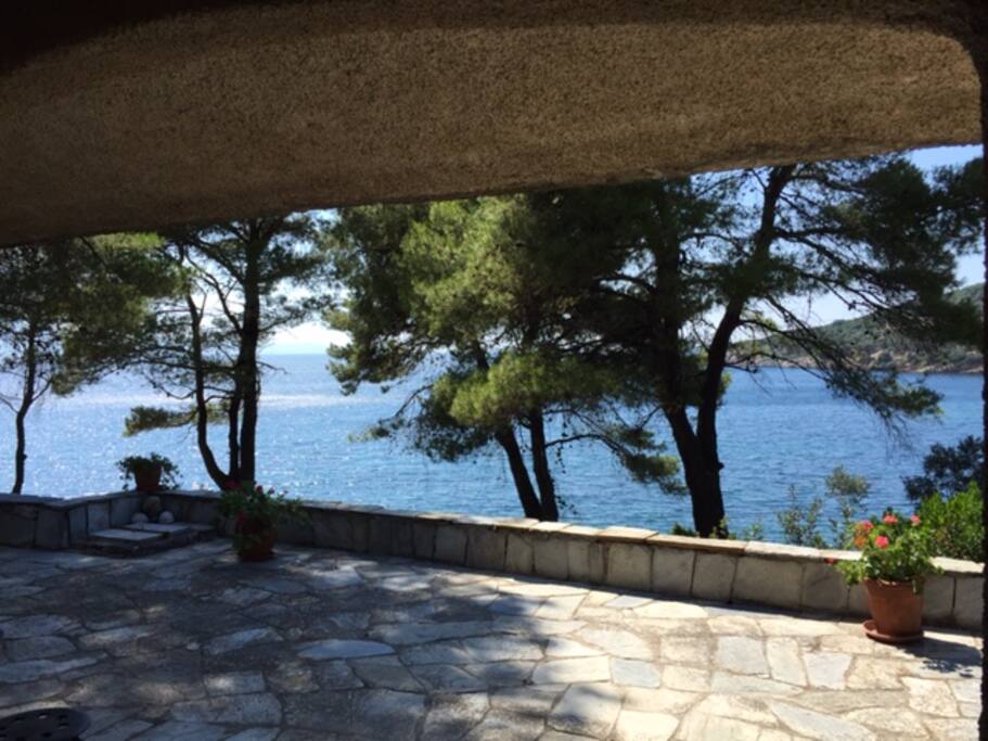 Patio View