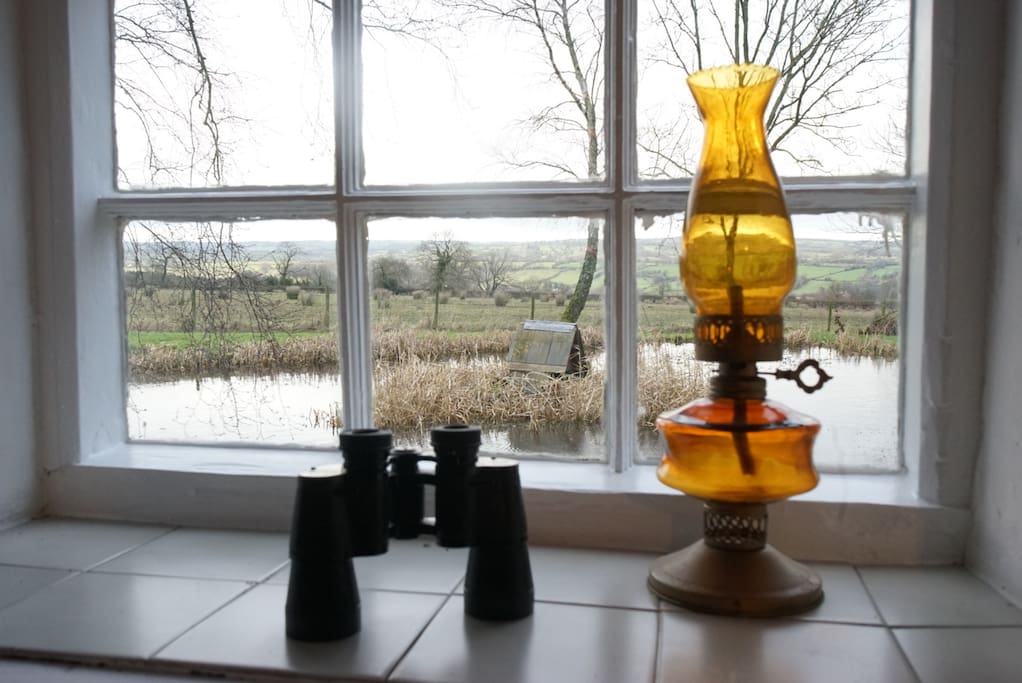 View from the living room window across the pond