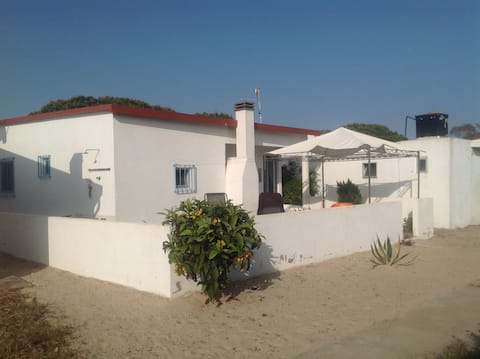 Casa Jill, 322 Armona Island