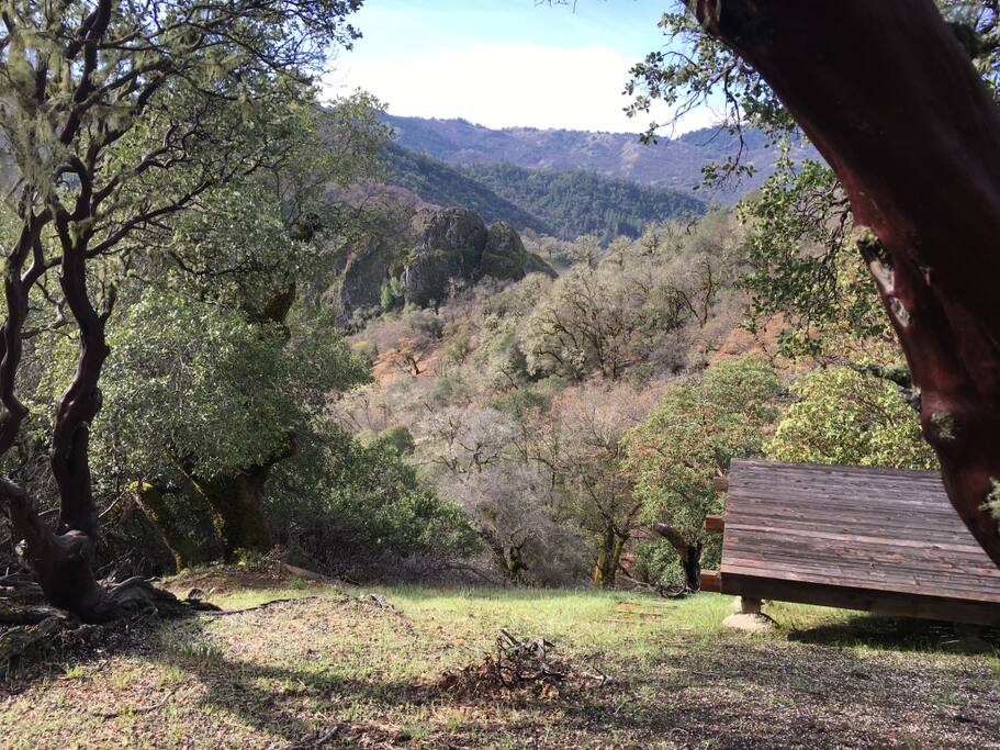 The view from the great room