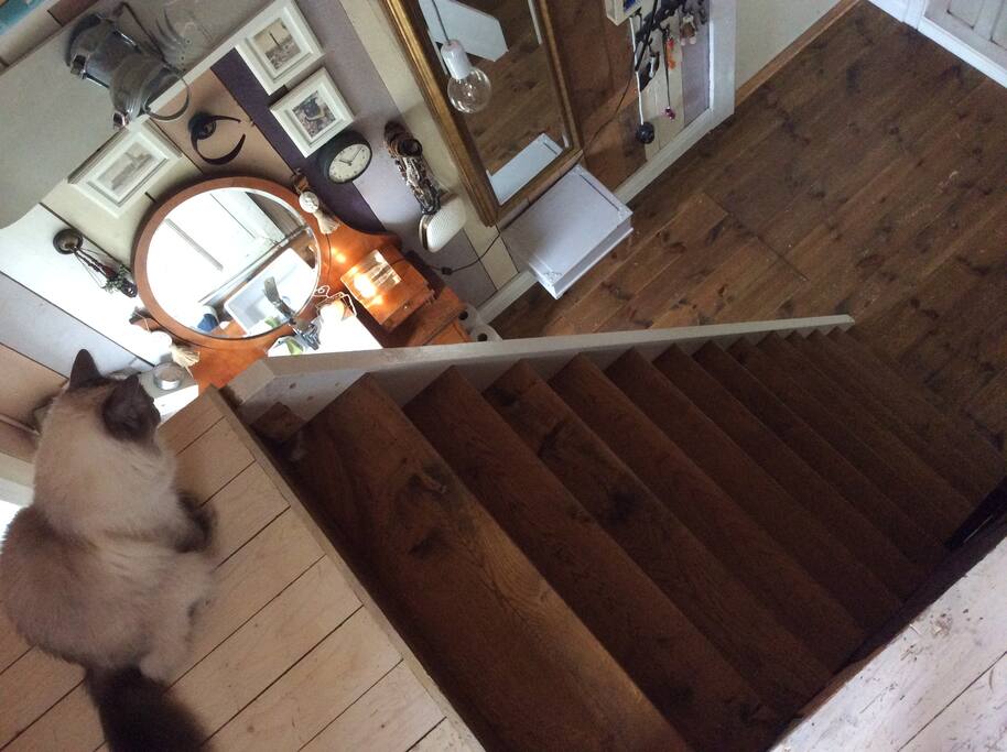 The hallway and the stairs that takes you to the loft space
