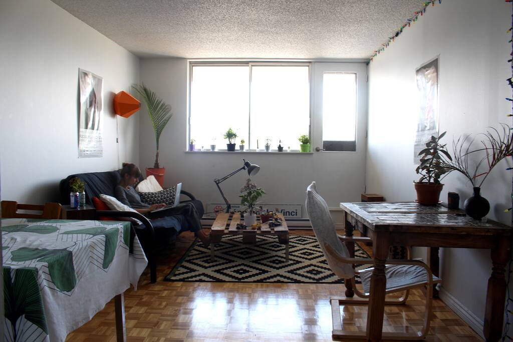 Salon / salle