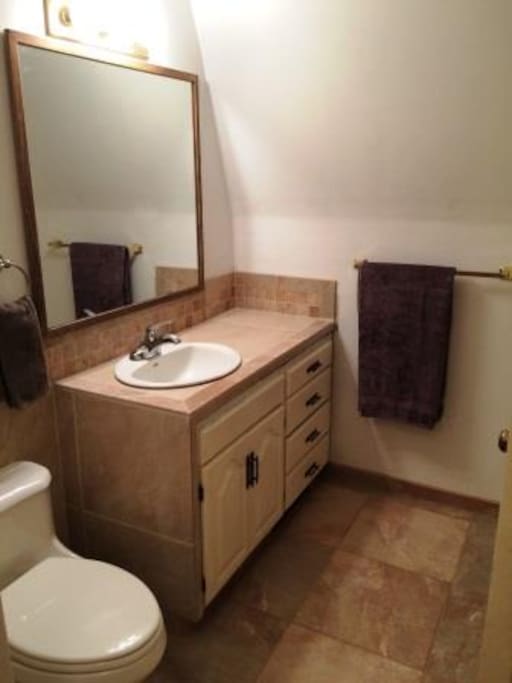 Newly remodeled bathroom with tiled shower