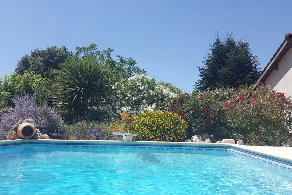 Piscine juste devant votre suite