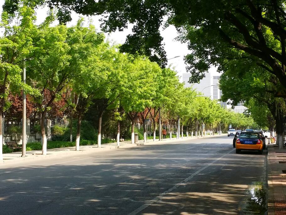 小区门口大马路