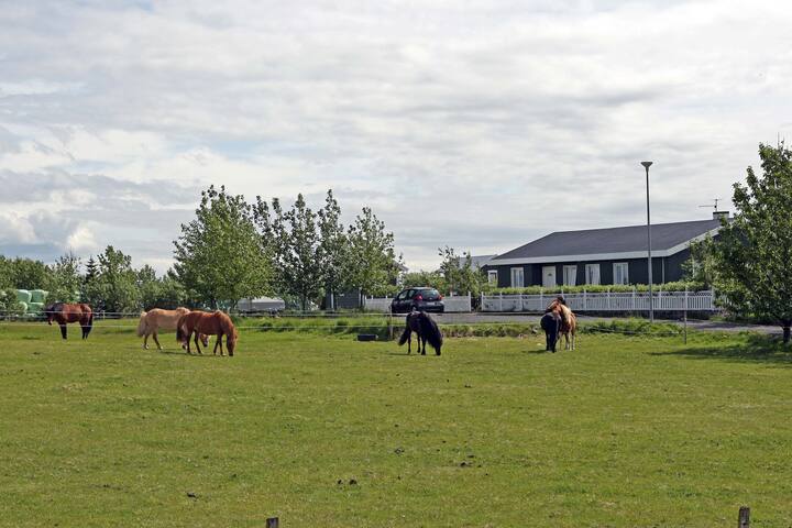 Kalfholt Guesthouse Room 3 Official Farm Stay In Hella Iceland 1 Bedroom 1 Bathroom
