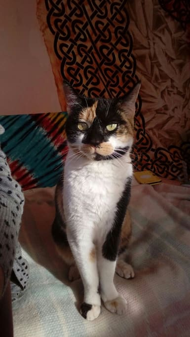 She is "La gatita"