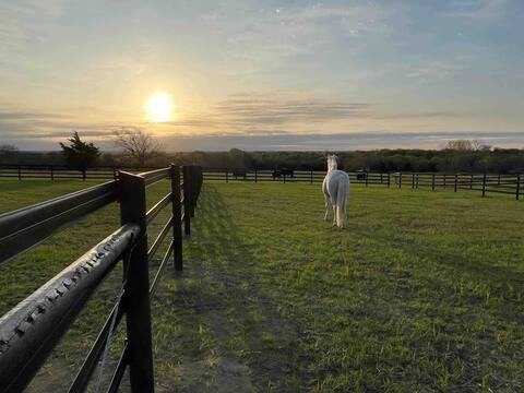 Hallelujah Ranch ~Spa, Sparkling Pool & Billiards
