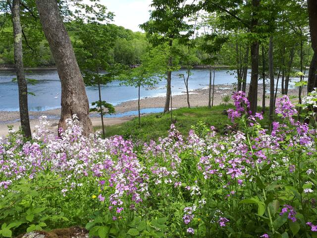 St. Croix Tidal Riverfront  Stay in New Brunswick!