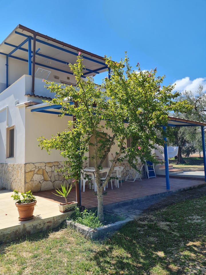 Bilo for 3 people in olive grove Houses for Rent in Vieste Foggia