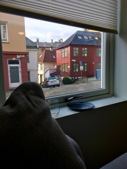 View from living room