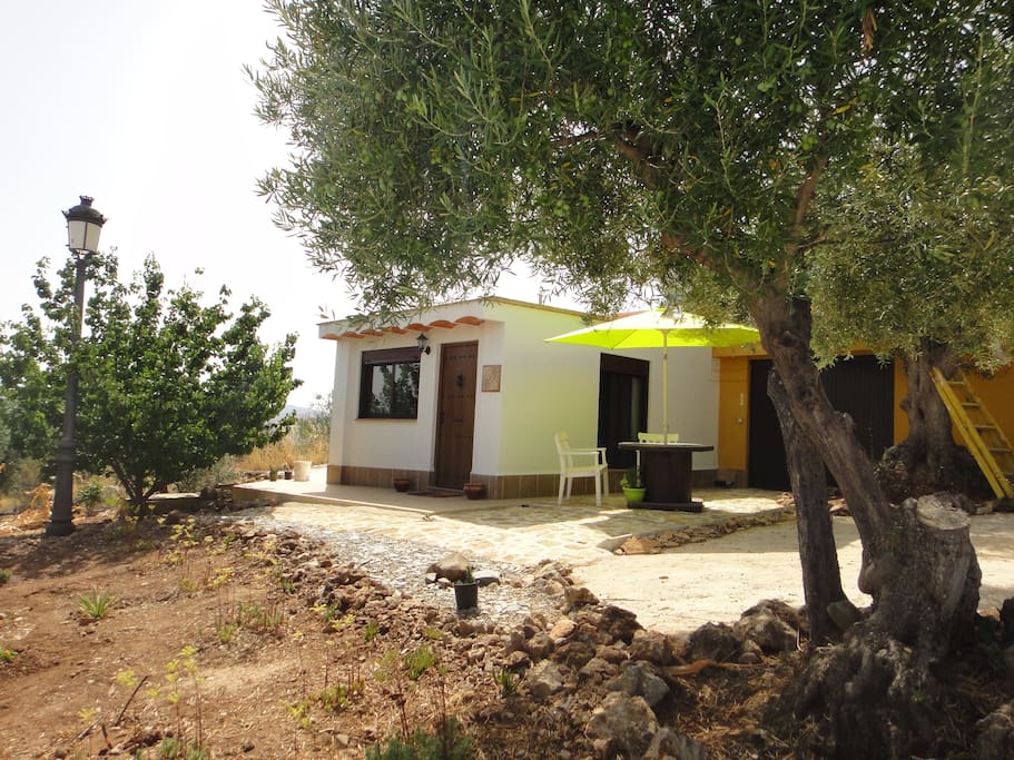 Casa Serenity
