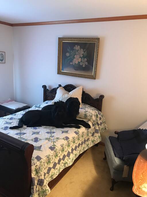 2nd bedroom with a double bed