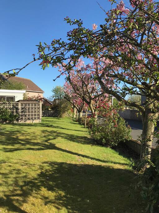 Secluded surrounding gardens
