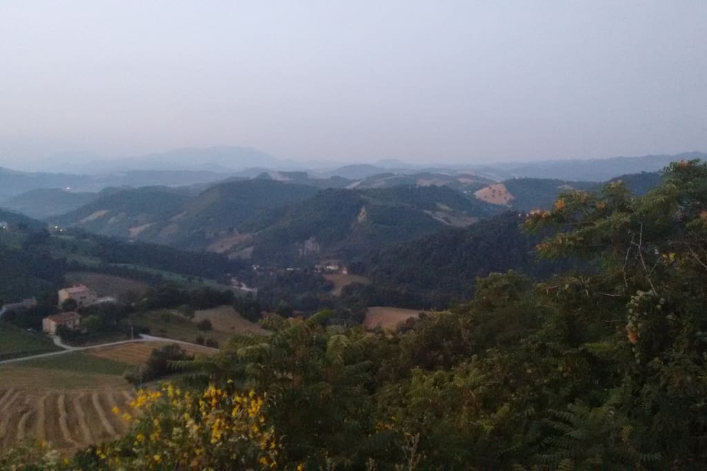 Ausblick
