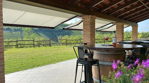 Spacious apartment with pool in the vineyards