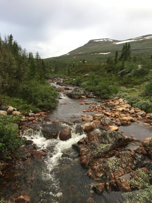 Nature, Høgevarde mountain in the background, 1459 meters over sea level