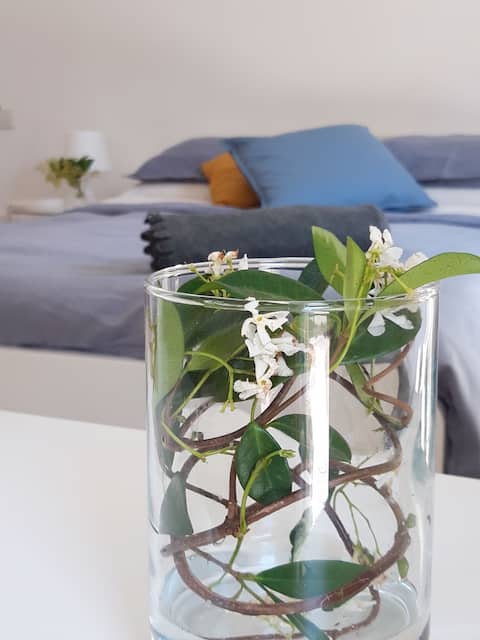 Grazioso appartamento vicino al centro + 2 bici