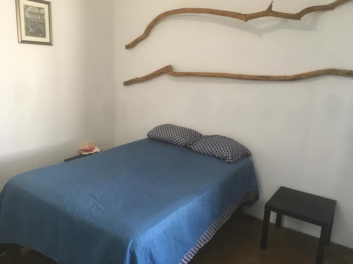 RECAMARA 2