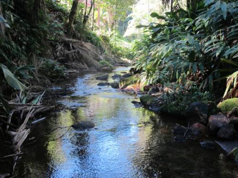 Rio Santiago