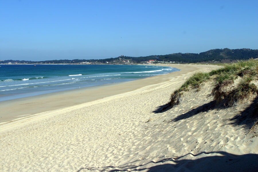 A wide sandy beach stretches towards the horizon, with gentle waves lapping at the shore. Lush dunes with tufts of grass are visible in the foreground, while the expansive coastline and distant hills are framed under a clear blue sky.