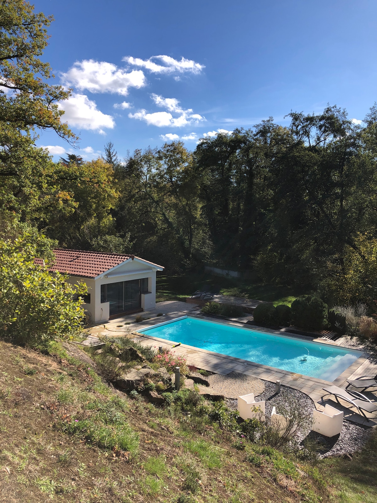 A modern house appears surrounded by lush greenery, showcasing a private pool with clear blue water. Comfortable lounge chairs are positioned around the pool area, providing space for relaxation. Soft sunlight filters through the trees, enhancing the tranquil outdoor setting.