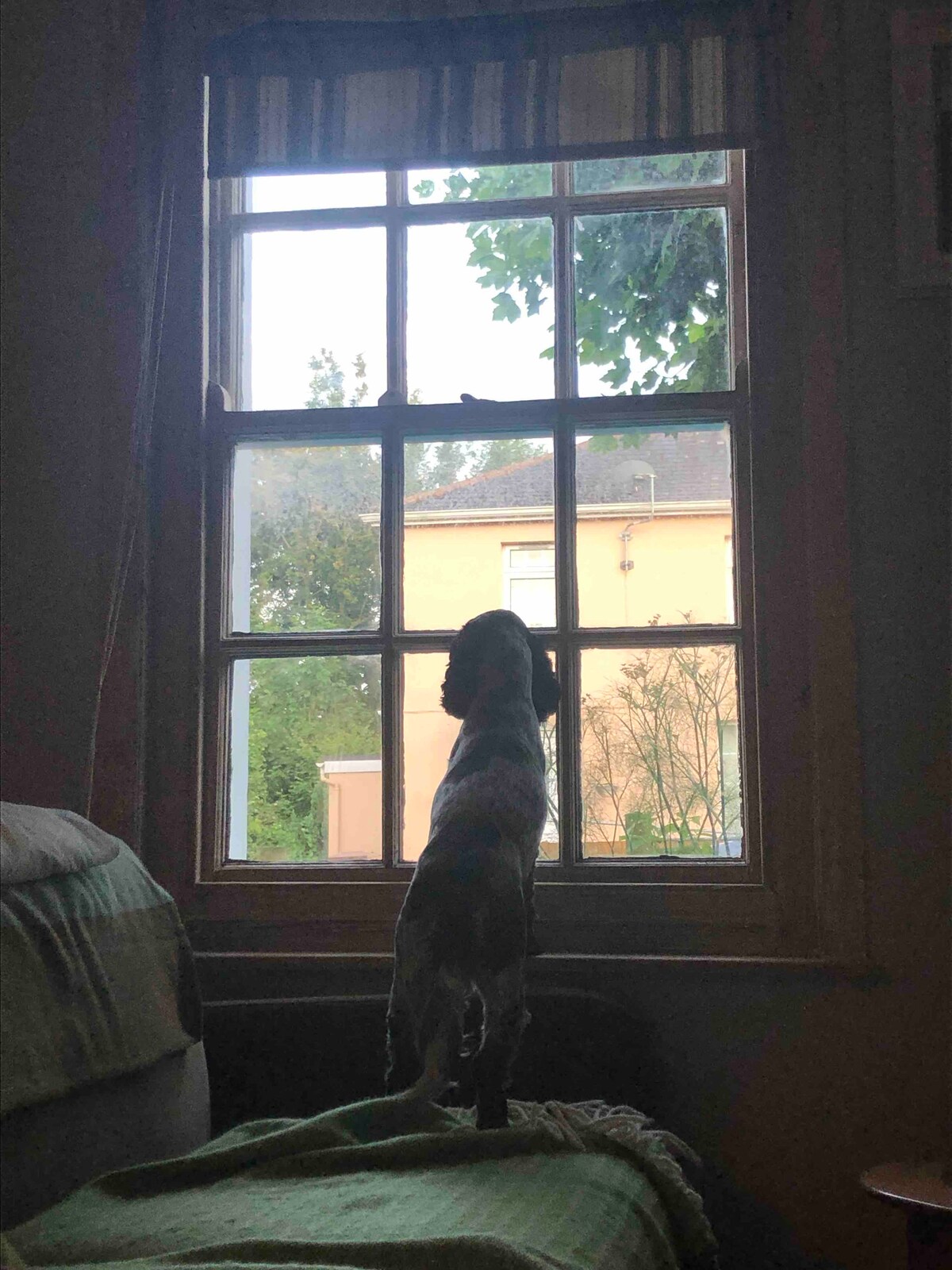 Ის ჩვენი წინა ფანჯრიდან ცხვირაბზუებული საპარკინგე ადგილი იქნება, თუ გაიგებს, რომ დაბინავდით! 