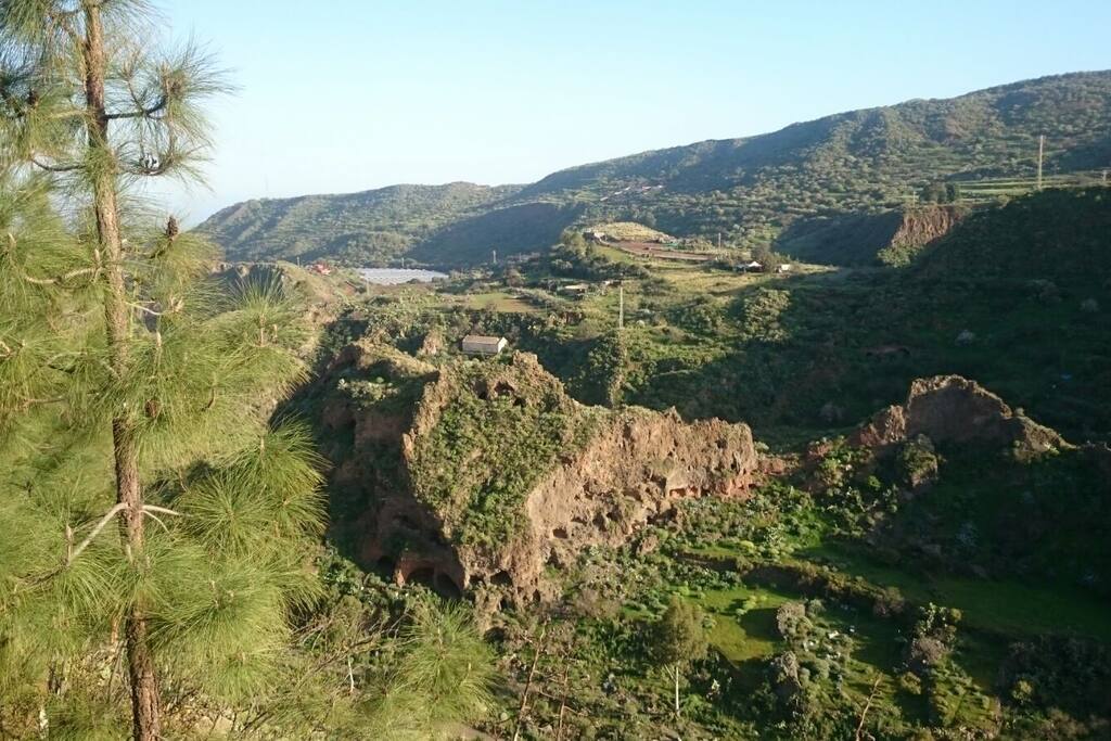 vistas desde el jardin