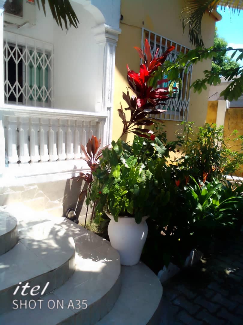 A welcoming entrance is framed by a curving staircase leading to a white railing. Lush greenery, including colorful plants and flowers in a large white pot, surrounds the base, providing a vibrant contrast to the soft yellow walls of the villa.