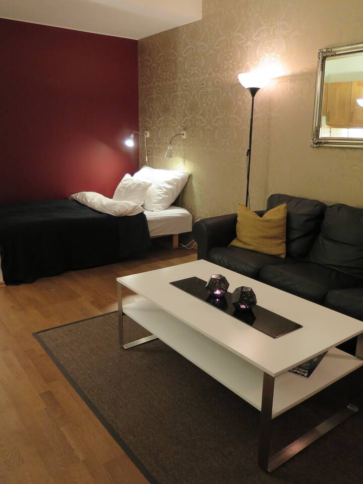 Studioleilighet ved solsiden apartments for rent in trondheim, sør ... Stue reolsystemer