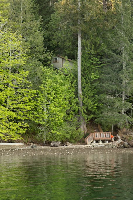 Looking back at our cabin, hidden in the trees.