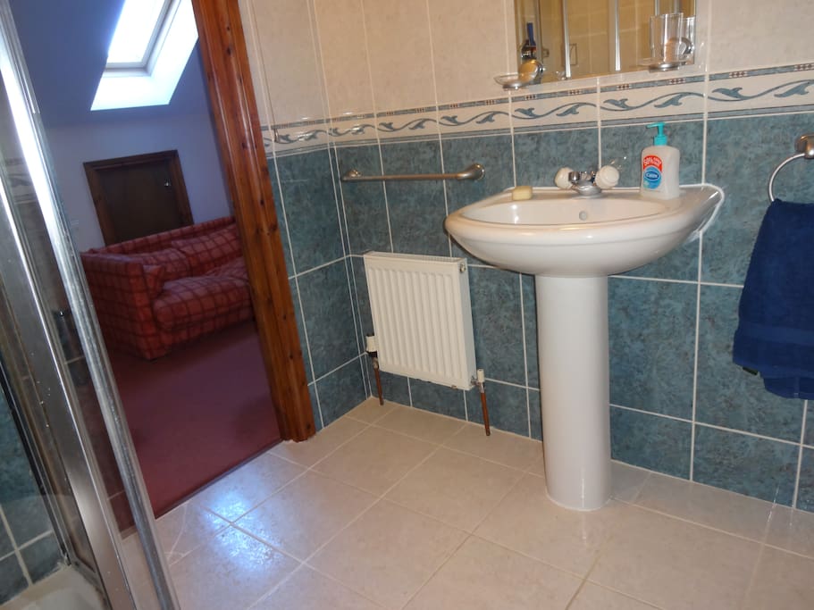 Shower room