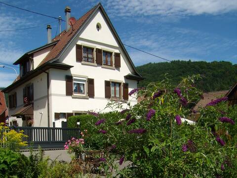At Schneiget, large 210 m2 house, 11 people