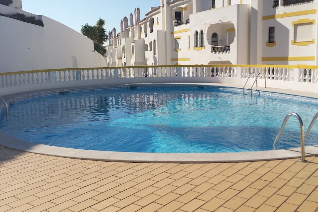 Piscine adulte