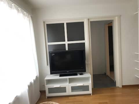 Top performing Airbnb: ⭐️⭐️⭐️ Comfortable Apartment in the Center of Zurich in Hard