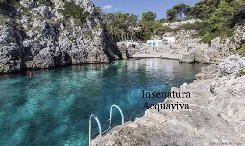 Villa Acquaviva sul mare, giardino, due posti auto gallery image 2