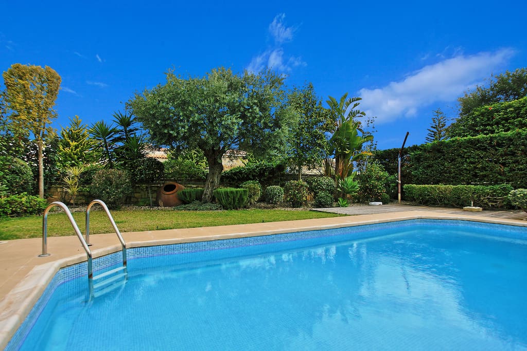 Pool and garden