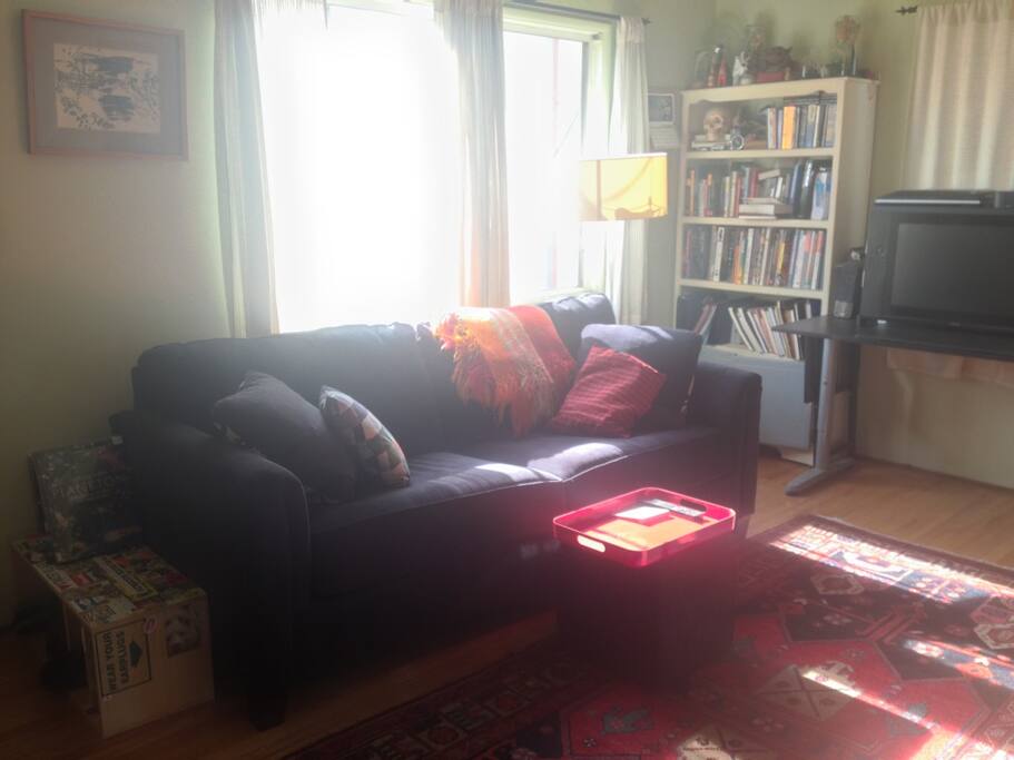 Living room couch.