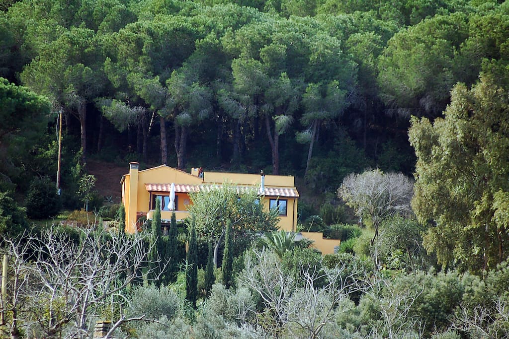 la casa