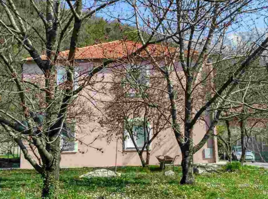 Familly house in traditional village, surrounded with nature (picture taken in the early spring time). These are the trees of orange, cherry, apples, olives, lemon, figs, plums, kiwi and a lots of grapes around the house...)
Porodicna kuca okruzena prirodom. Slikano u rano proljece. Oko kuce se nalaze narandze, tresnje, jabuke, masline, limunovi, smokve, sljive, kivi i mnogo grozdja svuda oko kuce)